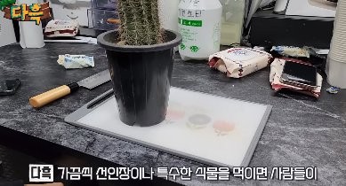 16816602049778.png