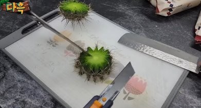 16816602059082.png
