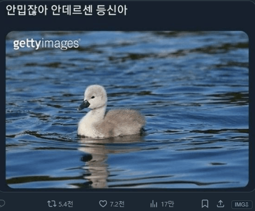 17111952757271.png
