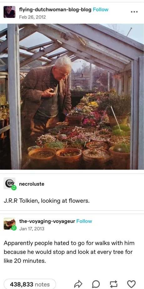 17113392713906.png