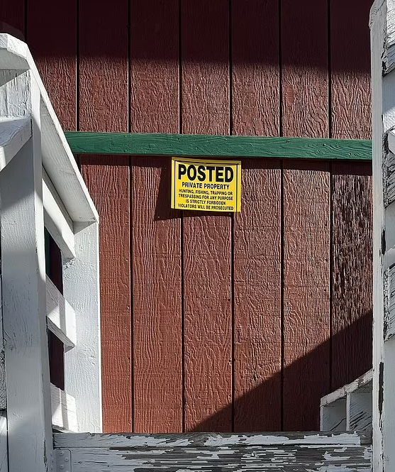 17113680991017.png