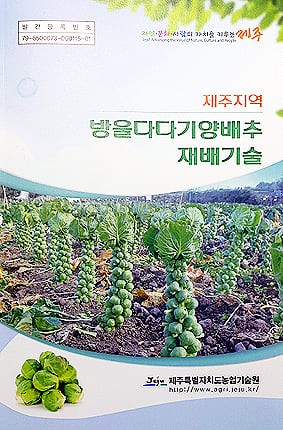17122824550969.jpg