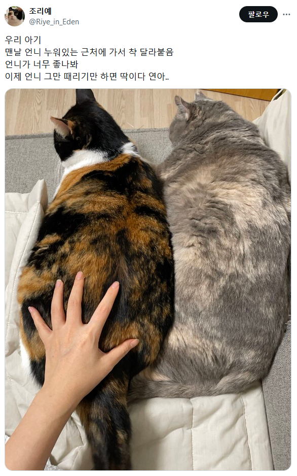 17126479020224.png