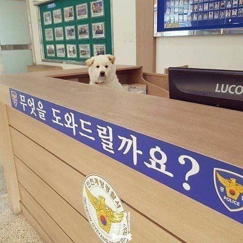 17130996487585.jpeg