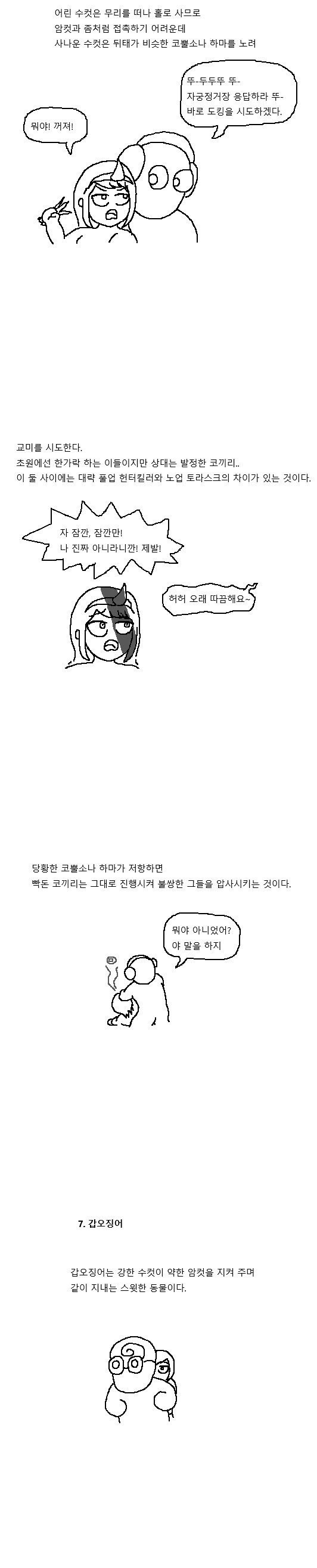 17131338870412.jpeg