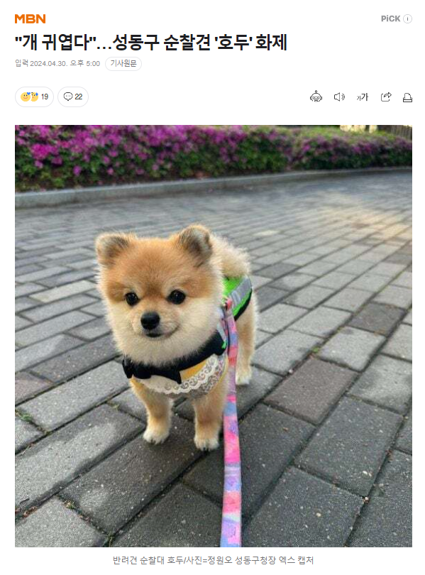 17151858762168.png