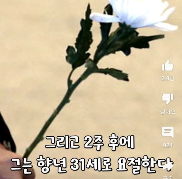 17152164727869.jpeg