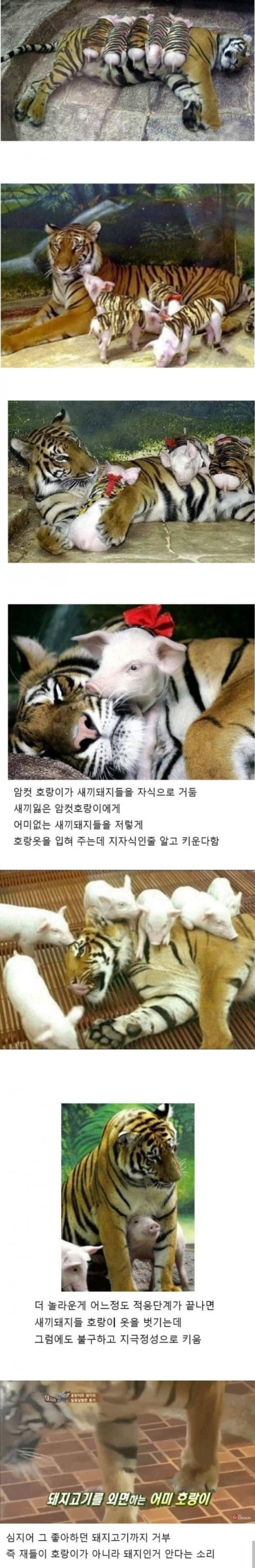 16750098488285.jpg