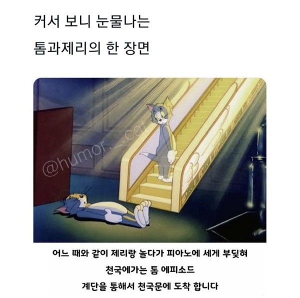 1675495848587.jpeg