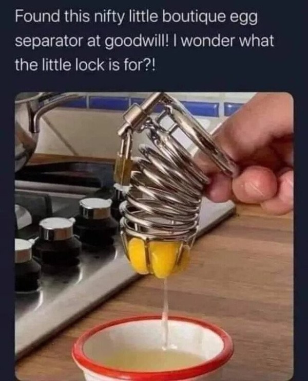 16754976869597.jpeg