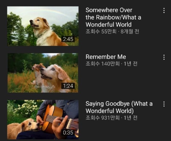 16781738602324.jpg