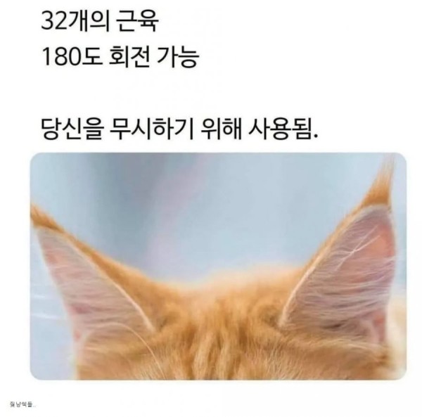 16786746528138.png