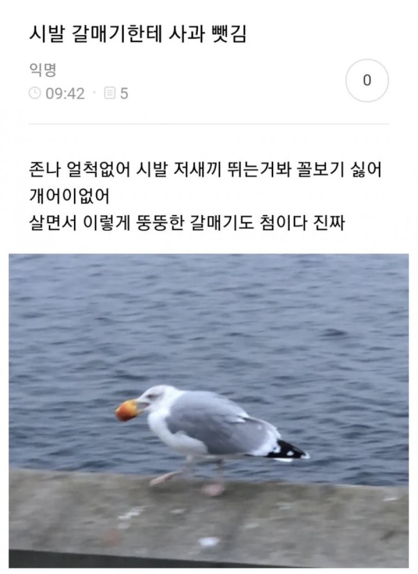16790220533812.png