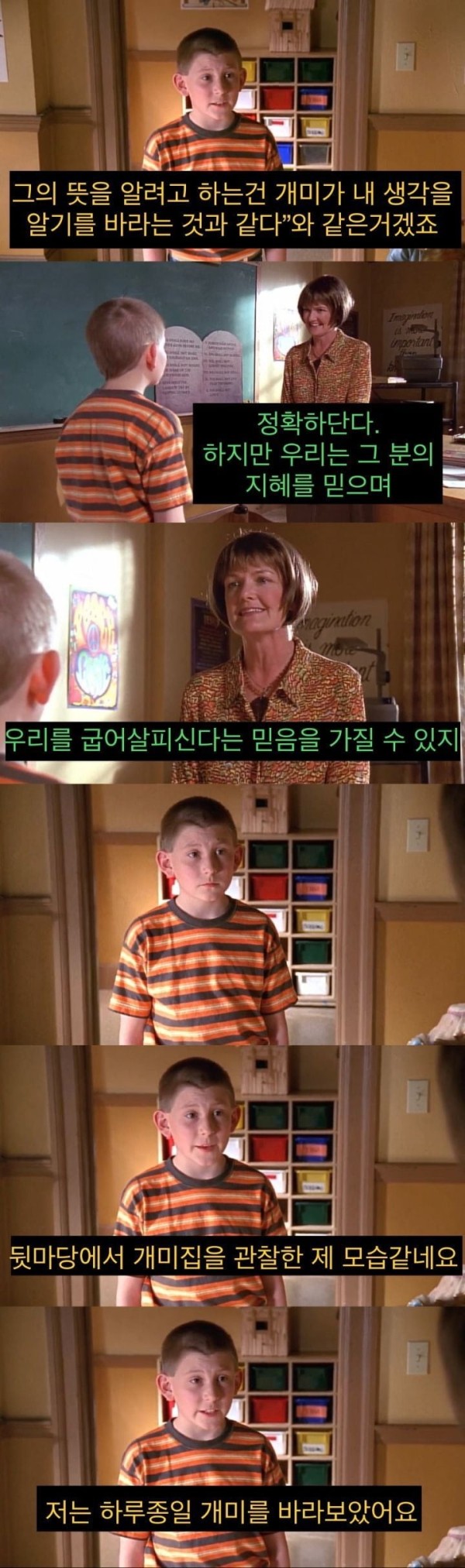 16798230438527.jpeg
