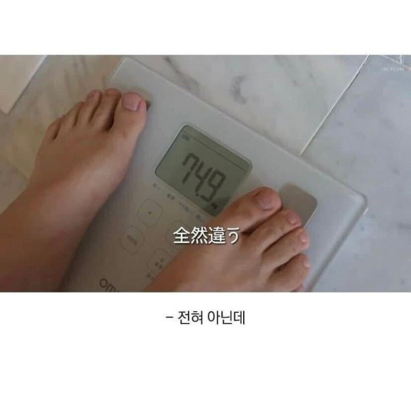 16798896430529.jpg
