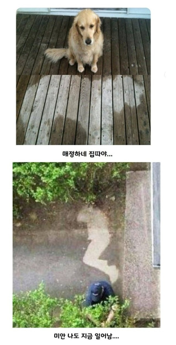 16799868450605.png