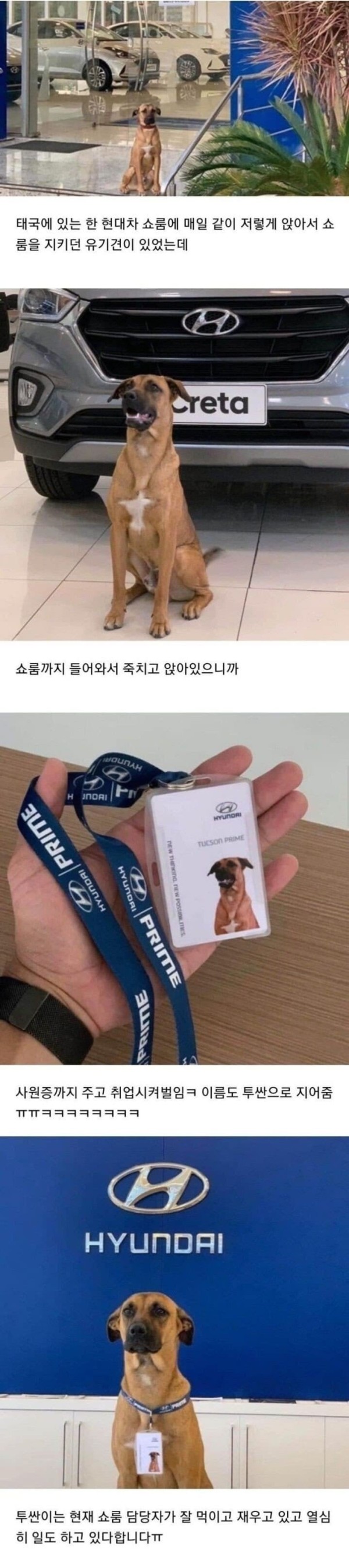 16812810453951.jpg