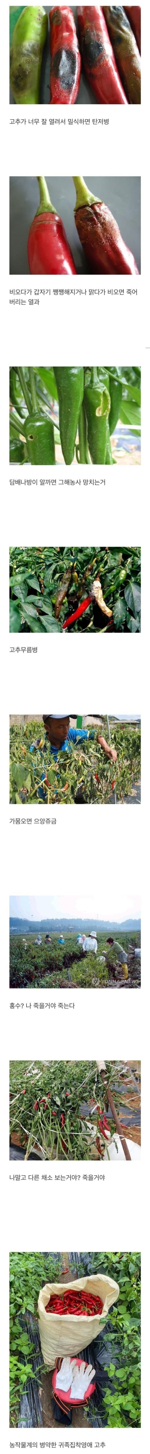 16814268027312.jpeg