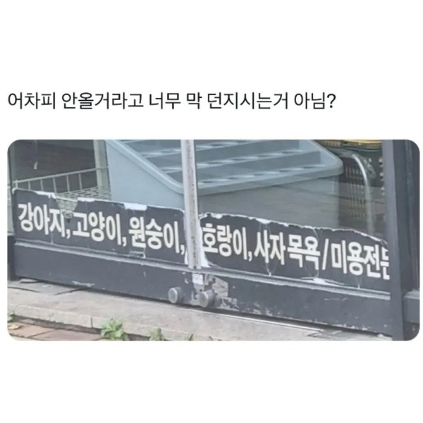16818346184631.jpg