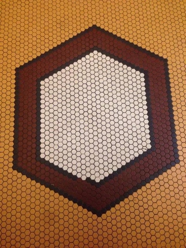 16823988483527.jpeg