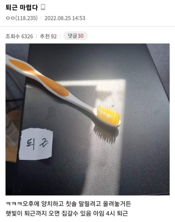 16825716468894.jpeg