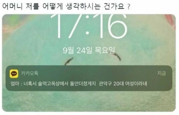 1682962263169.jpeg