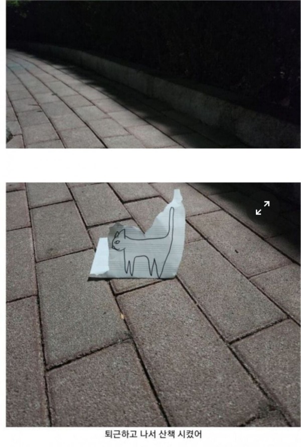 16830756604908.jpeg