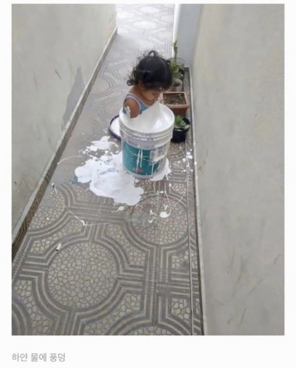 16831620478115.jpeg