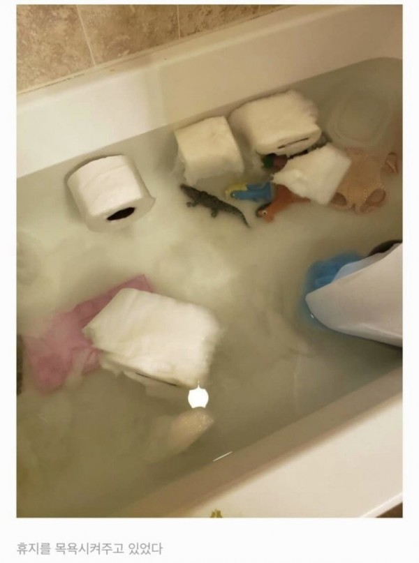 16831620482822.jpeg