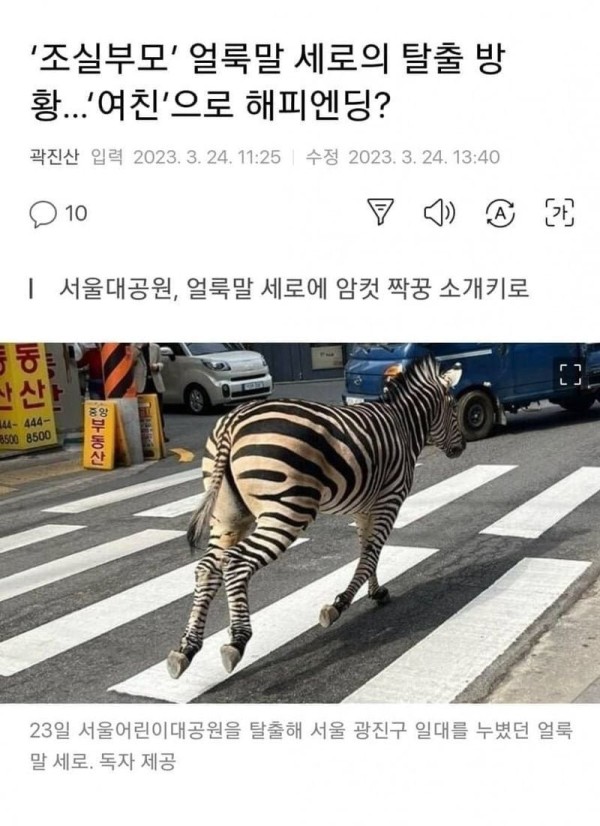 16831674633505.jpeg