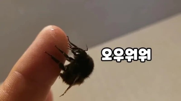 16832034613523.jpg