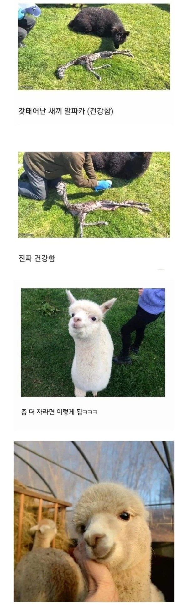16835778589883.png