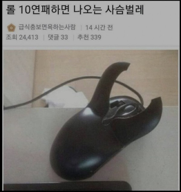 16837092597898.jpeg