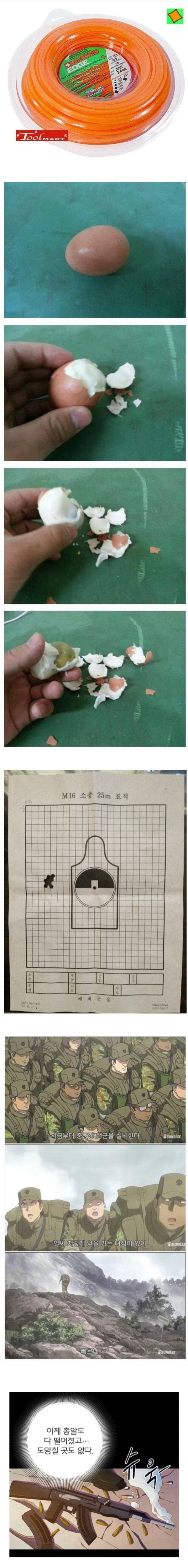 16837542510996.jpeg