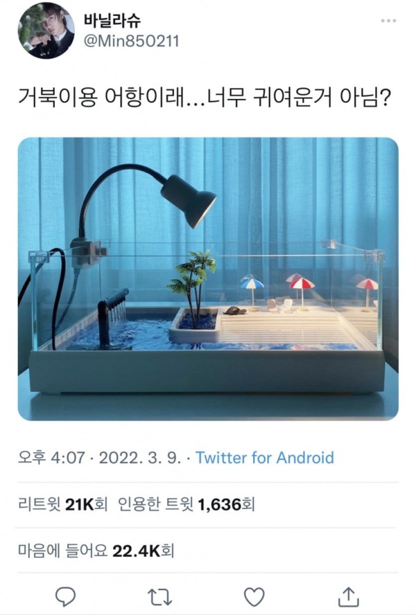 16841034469977.jpg