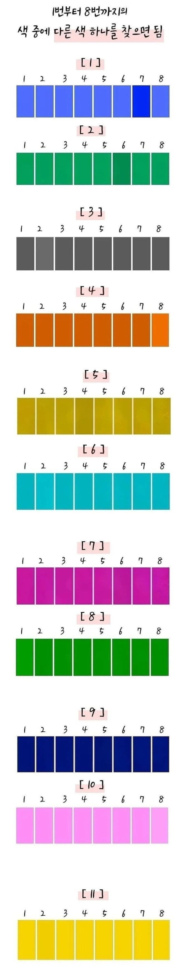 16842564520801.jpg