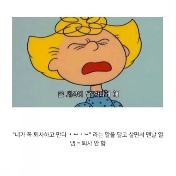 16843158511827.png