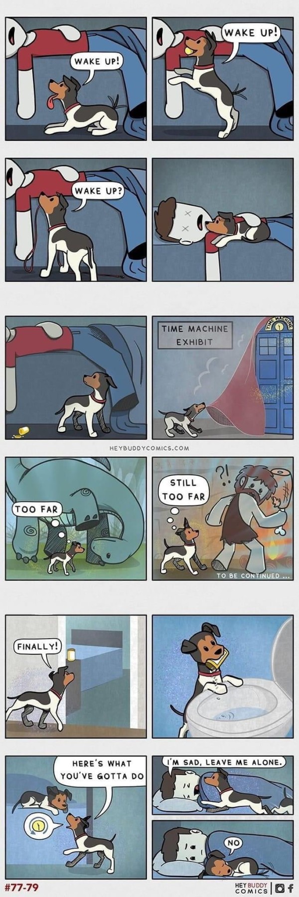 16846452588412.jpg