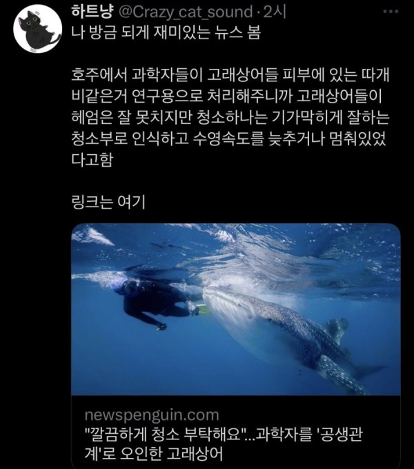 16846488509214.jpeg