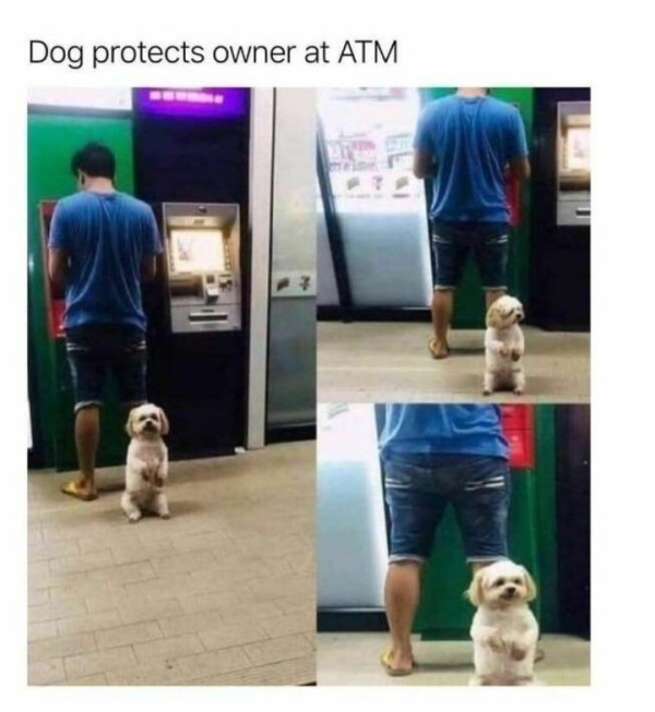 16848810513507.jpg