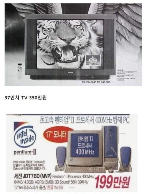 16848864455698.jpg