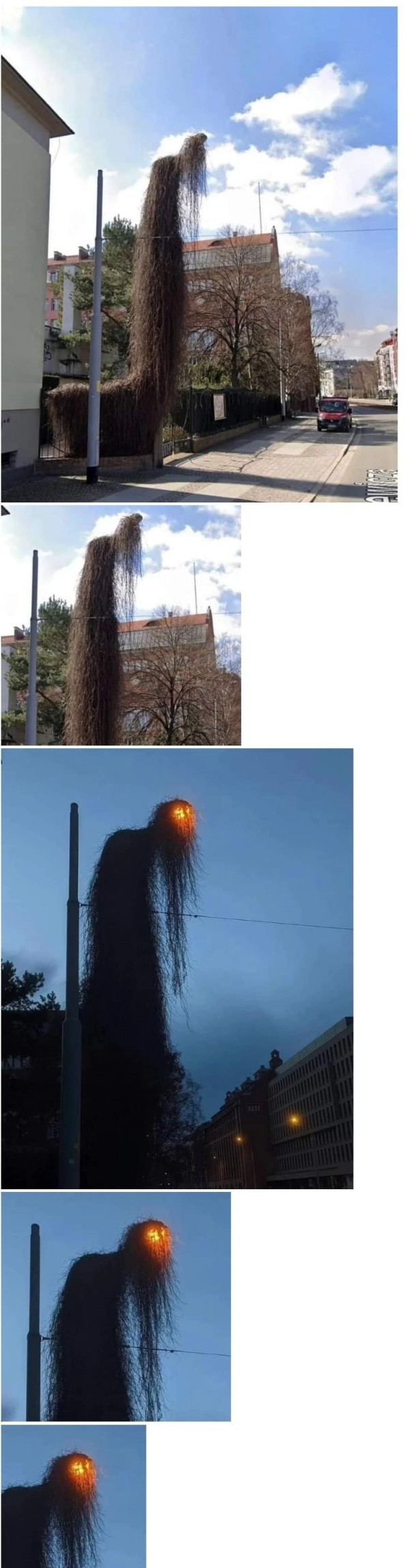 16848990417308.jpg