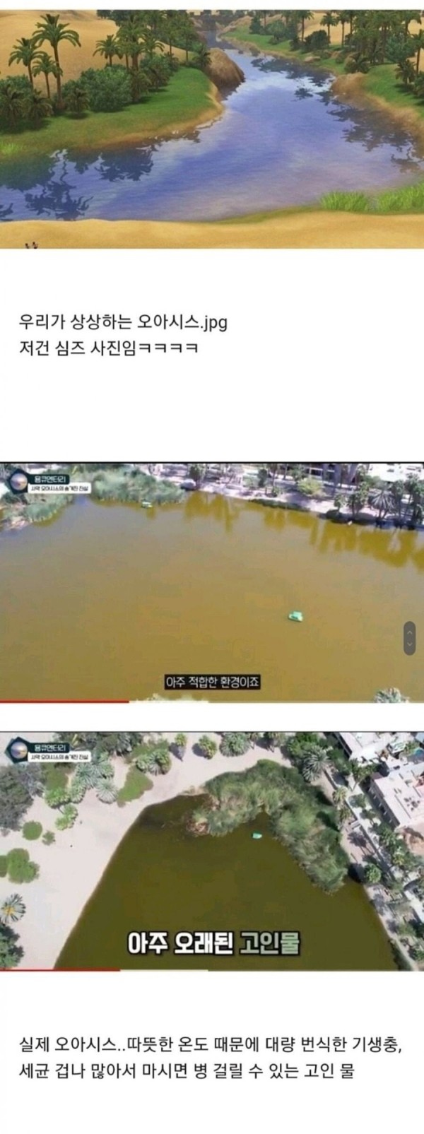 16849800565055.jpeg