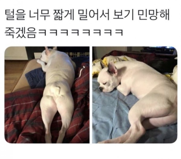 16850682538049.png