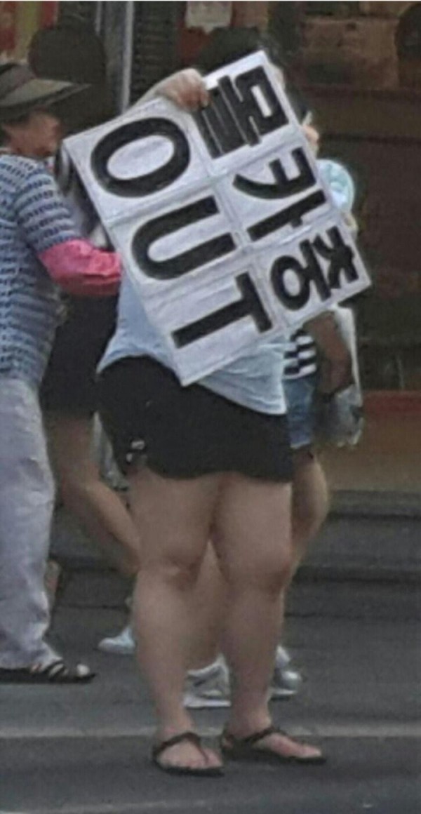 16855362641475.jpg