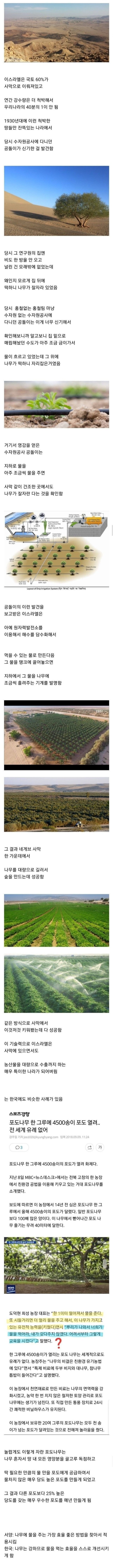 16889922700302.jpg