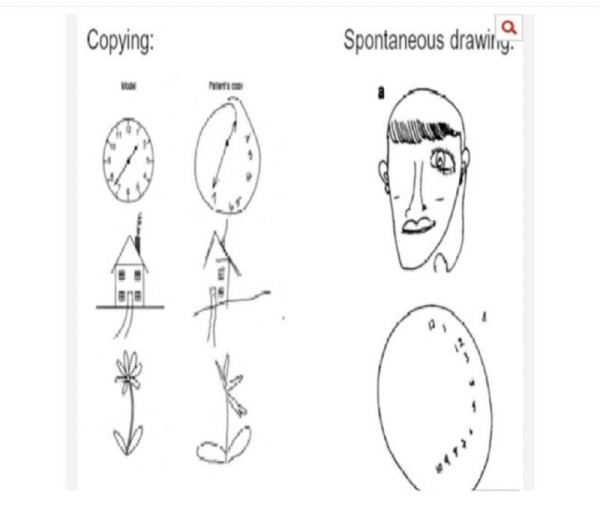 16890876684774.jpg