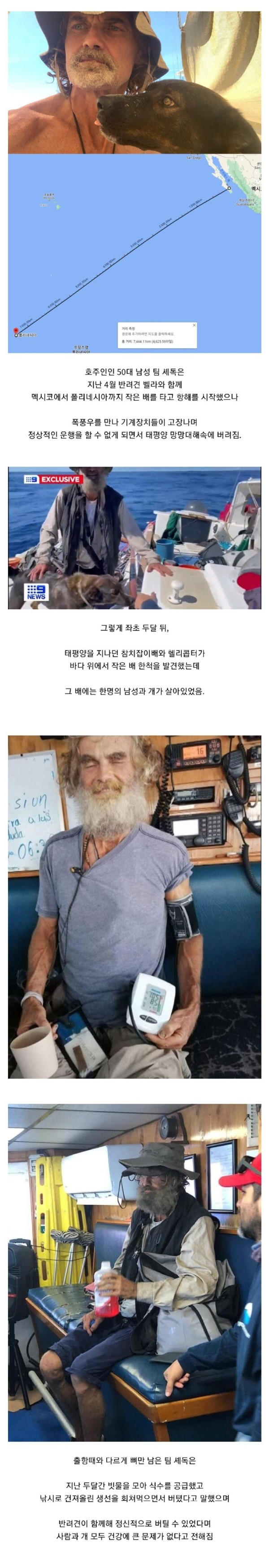 16899552577264.jpg