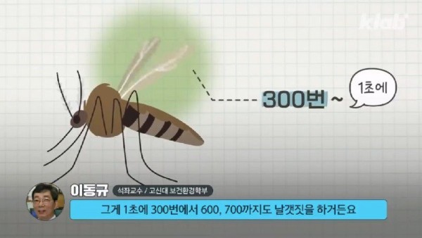 16899570458942.jpg