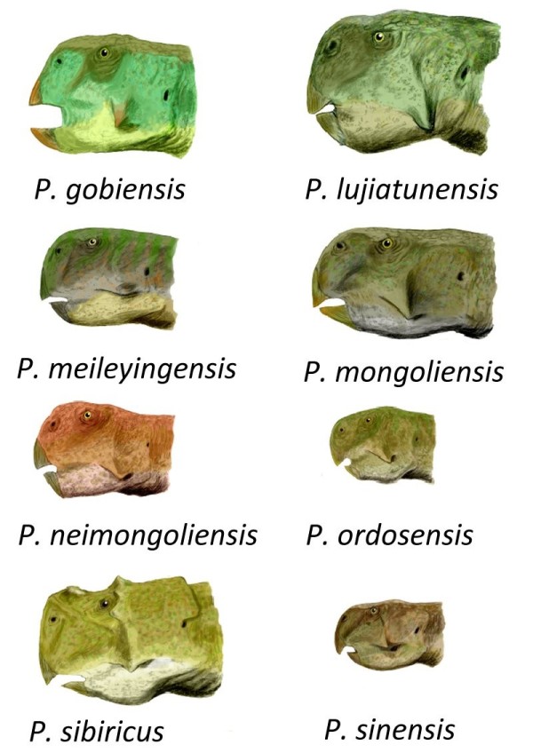 1690128061847.png